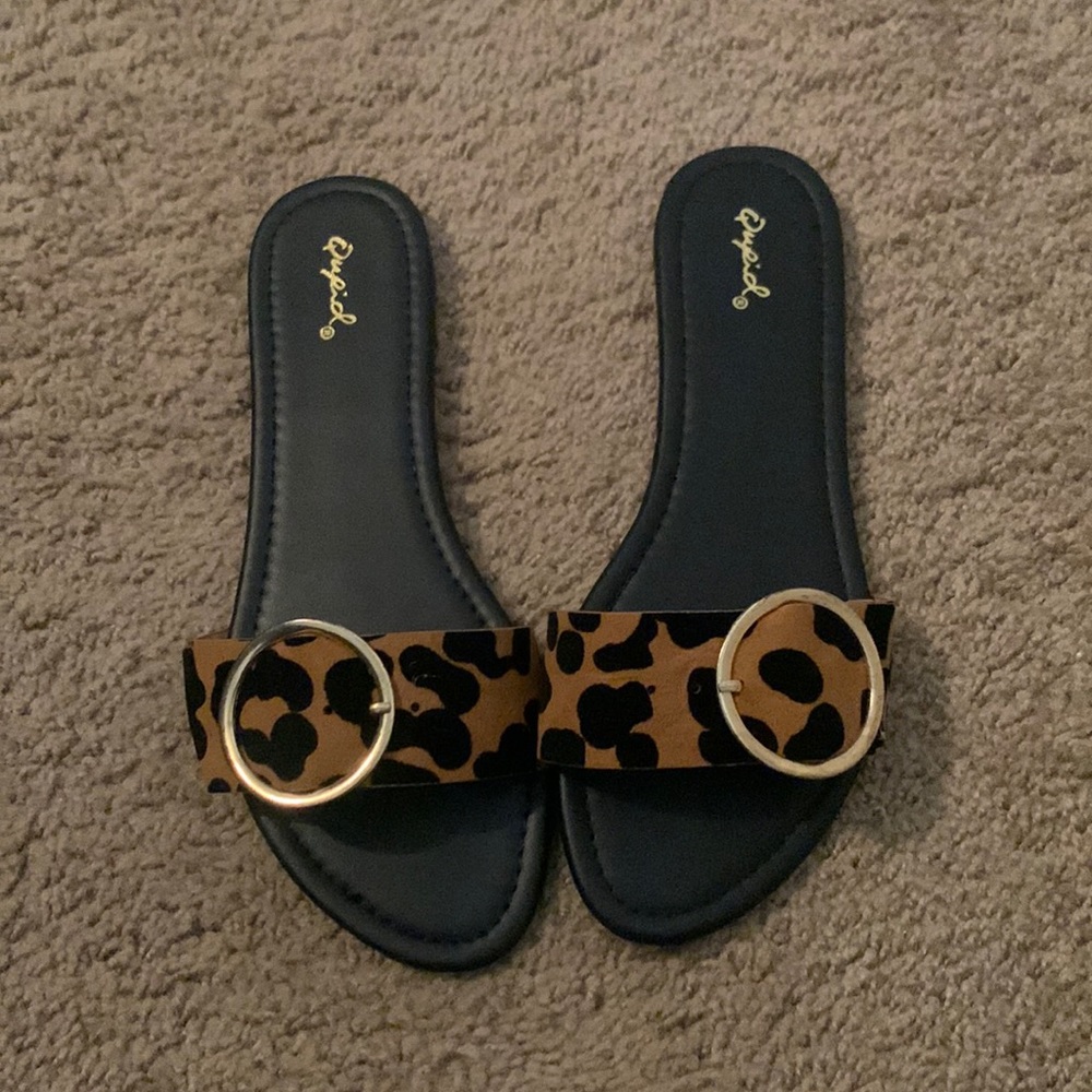 Leopard slides